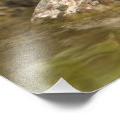 ブルーグロスベークが裏庭の池で飲み フォトプリント            (角)