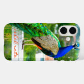 ブルーグ誇りを持ったリーンピーコックフォト祝引用文 Case-Mate iPhoneケース (裏面 (横))