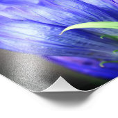 ブルーゲンチアンフラワー8x8 フォトプリント (角)