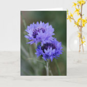 ブルーコーンフラワーズ カード (黄色い花)