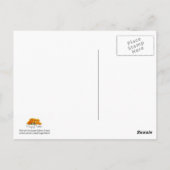 ブルーコーンフラワー写真 –  ポストカード (裏面)