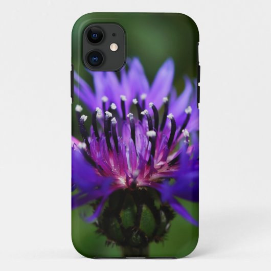 ブルーコーンフラワー花の花と平和の愛の宿命 Case-Mate iPhoneケース (裏面)