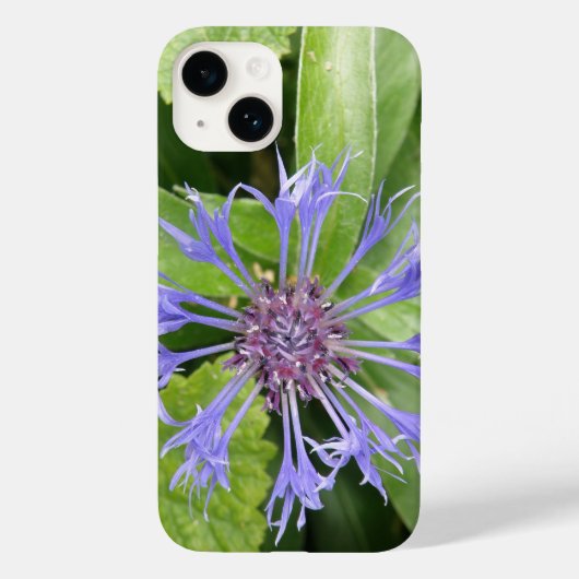 ブルーコーンフラワー Case-Mate iPhoneケース (裏面)