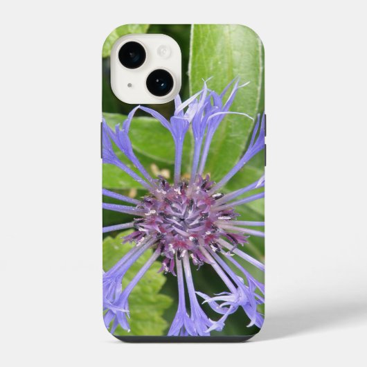 ブルーコーンフラワー iPhoneケース (裏面)