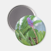 ブルーコーンブロムリード花 マグネット (正面/裏面)