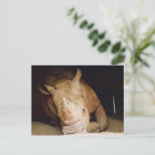 ブルーサイ ポストカード (スタンド正面)