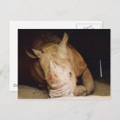 ブルーサイ ポストカード (正面/裏面)