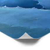 ブルーサボテン ポスター (角)