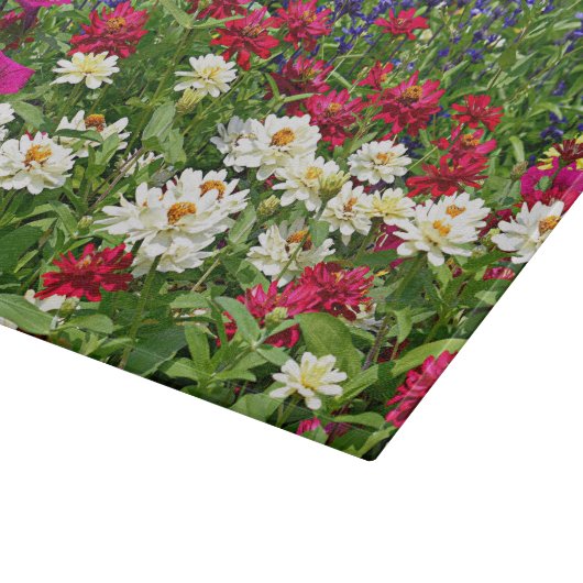 ブルーサルビアと《植物》百日草ガーデンフローラ カッティングボード (角)