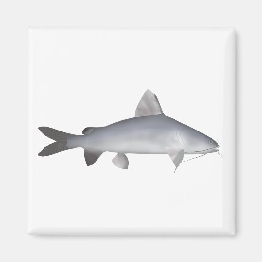 ブルーサーモンナマズ マグネット (正面)