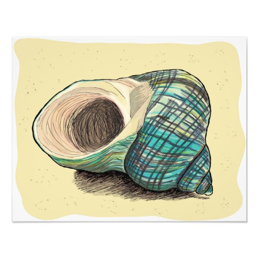 ブルーシかわいらしェル フォトプリント            (正面)