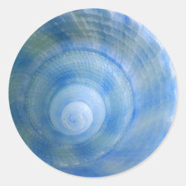 ブルーシェルスティッカー ラウンドシール