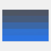 ブルーシェード ラッピングペーパーシート (正面3)