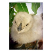 ブルーシックすべての行事空白のグリーティングカード (正面)