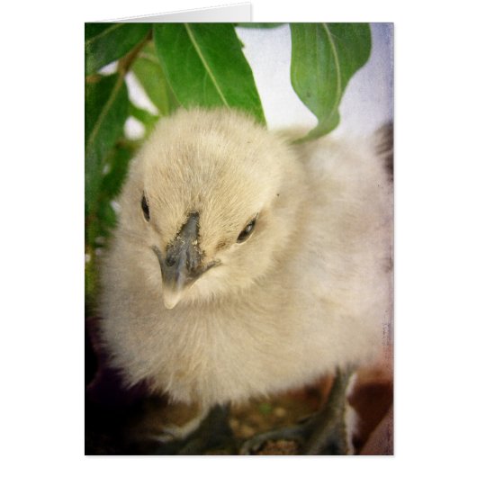 ブルーシックすべての行事空白のグリーティングカード (正面)