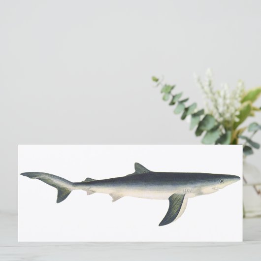 ブルーシャーク、ヴィンテージ水生海洋生物 (スタンド正面)