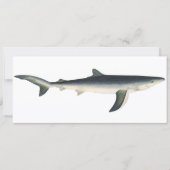 ブルーシャーク、ヴィンテージ水生海洋生物 (正面)