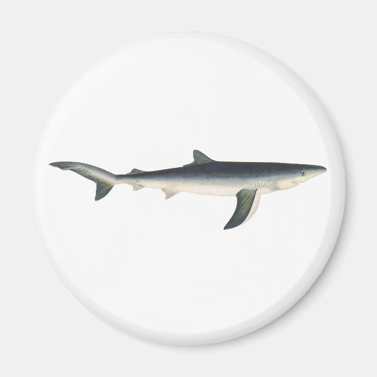 ブルーシャーク、ヴィンテージ水生海洋生物 マグネット (正面)