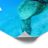 ブルーシーカメiハートハワイ ポスター (角)