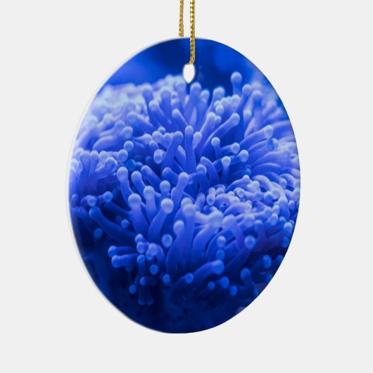 ブルーシーカラフルアネモネマリンライフ セラミックオーナメント (右)