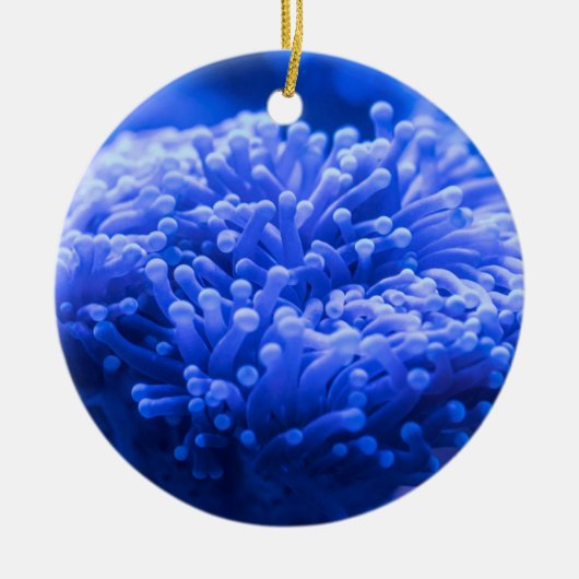 ブルーシーカラフルアネモネマリンライフ セラミックオーナメント (正面)