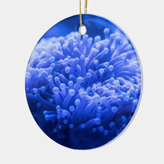 ブルーシーカラフルアネモネマリンライフ セラミックオーナメント (左)