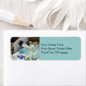 ブルーシーグラス住所 シールビーチ沿岸化石 ラベル (インサイチュ)