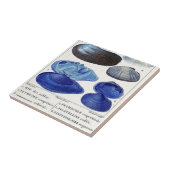 ブルーシーシェルヴィンテージ植物学フランスの海 タイル (側面)