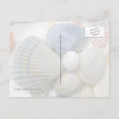 ブルーシーシェル写真はがき ポストカード (裏面)