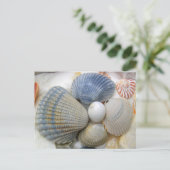 ブルーシーシェル写真はがき ポストカード (スタンド正面)