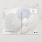 ブルーシーシェル写真はがき ポストカード (裏面)