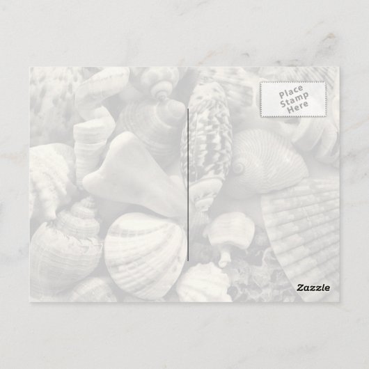 ブルーシーシェル写真はがき ポストカード (裏面)