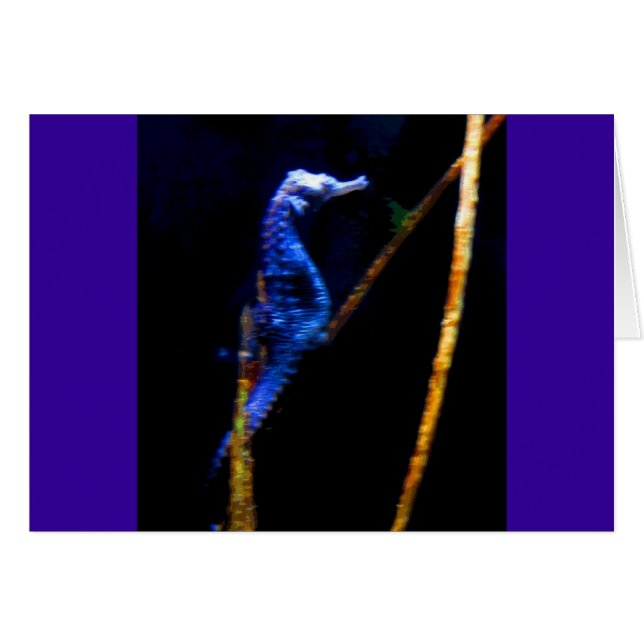 ブルーシーホースCB (正面横)