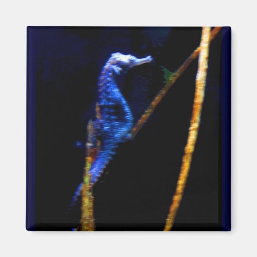 ブルーシーホースCB マグネット (正面)