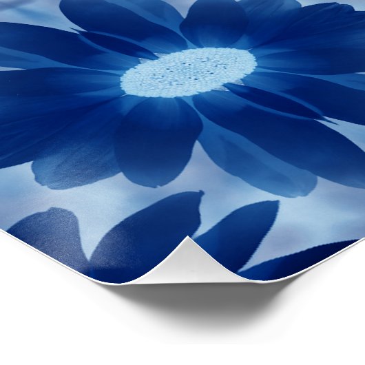 ブルーシー… ポスター (コーナー)