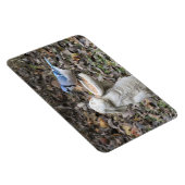 ブルージェイかわいいウサギの鳥フィーダー マグネット (右側)