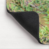 ブルージェイとミズキの低木 マウスパッド (コーナー)