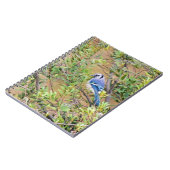 ブルージェイとワックス・ミルティル ノートブック (左側)