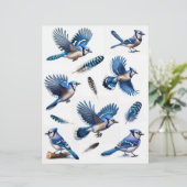 ブルージェイと羽のせっかくのカット (スタンド正面)