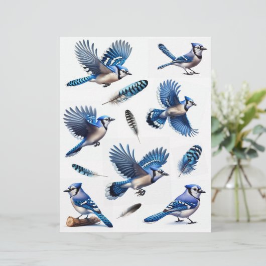 ブルージェイと羽のせっかくのカット (スタンド正面)