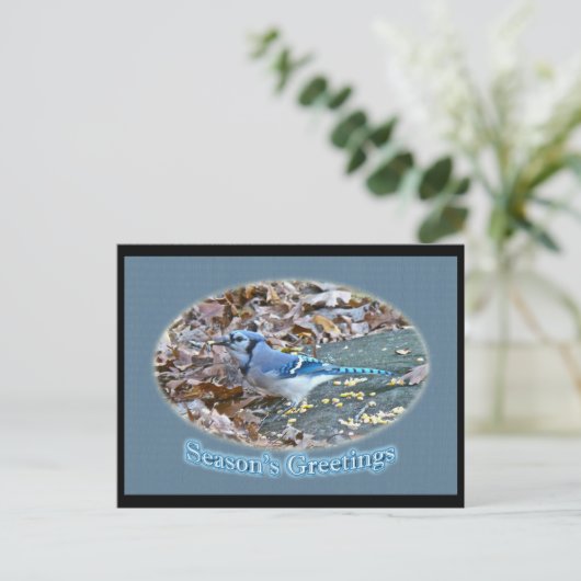 ブルージェイの季節の挨拶シリーズ シーズンポストカード (スタンド正面)