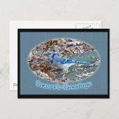 ブルージェイの季節の挨拶シリーズ シーズンポストカード (正面/裏面)