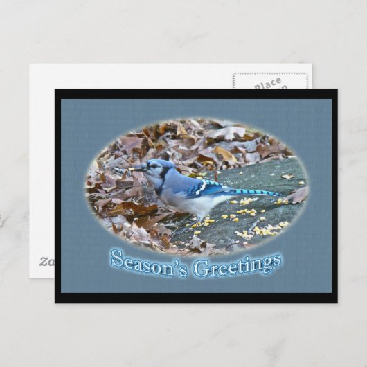 ブルージェイの季節の挨拶シリーズ シーズンポストカード (正面/裏面)