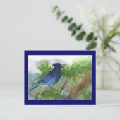 ブルージェイインマスケグ ポストカード (スタンド正面)