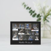 ブルージェイコラージュポストカード ポストカード (スタンド正面)