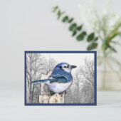 ブルージェイスケッチはがき ポストカード (スタンド正面)