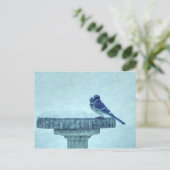 ブルージェイズウィンター食べ物を与えズパインタリーポストカード ポストカード (スタンド正面)