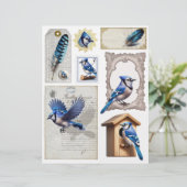 ブルージェイズエフエメラフッシーカット (スタンド正面)