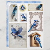 ブルージェイズエフエメラフッシーカット (正面/裏面)