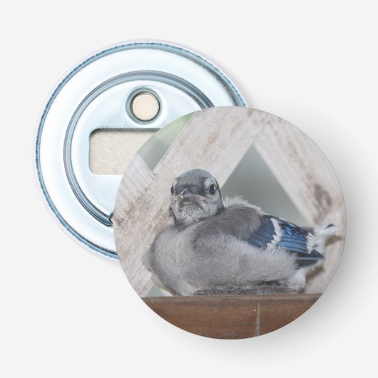 ブルージェイボトルオープナー 栓抜き (正面)